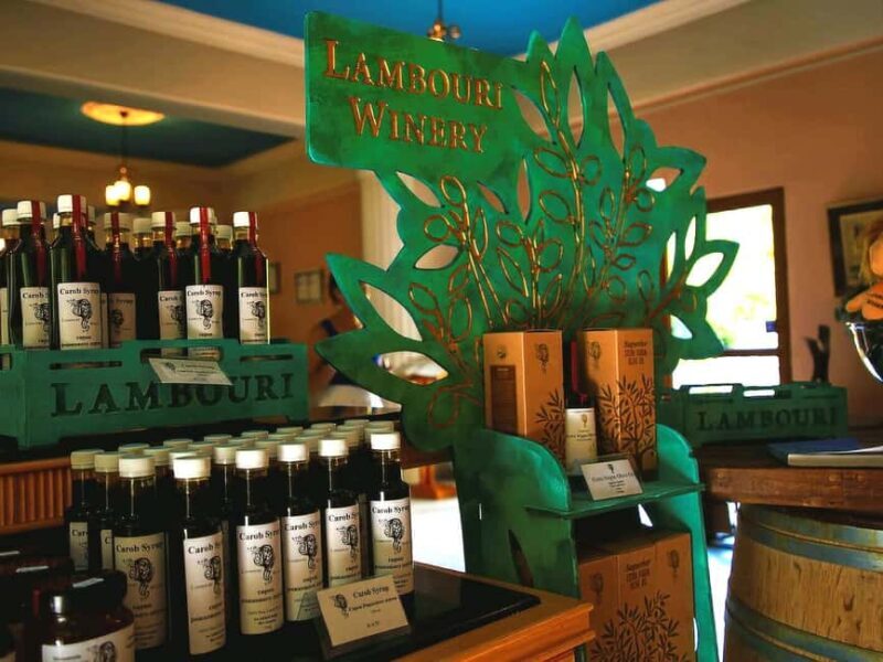 Limassol: Shore Excursion to Troodos Villages and Winery - Who Would Love This Tour?