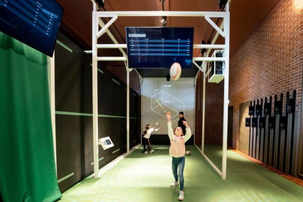 Limerick: International Rugby Experience Interactive Tour - Booking and Availability