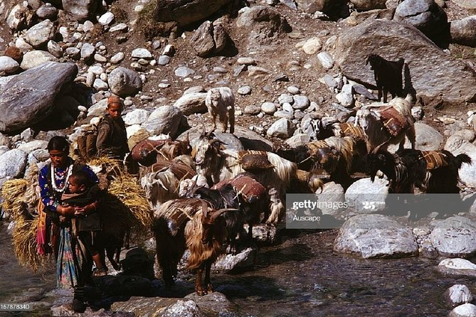 Limi Humla Valley Trek 15 Days 19 Night - Overview of Limi Humla Valley Trek