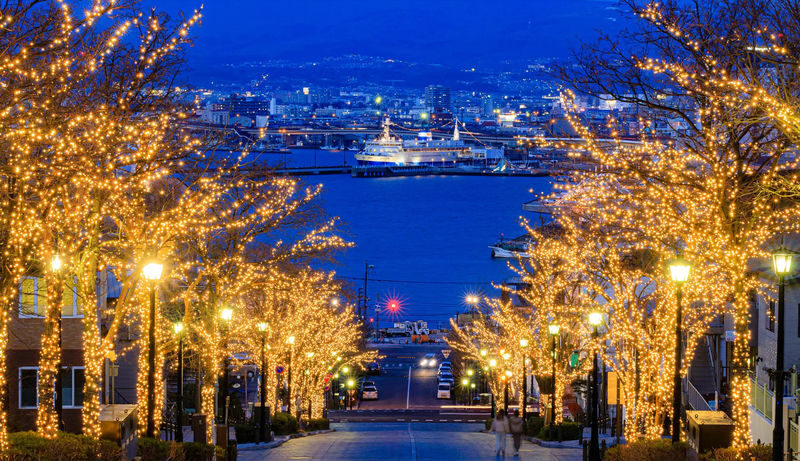 Limited Cherry Blossom Season: Hokkaido, Japan Private Day Tour: Departure/Return in Hakodate | Customizable Itinerary - Five stops give you a useful Hakodate outline