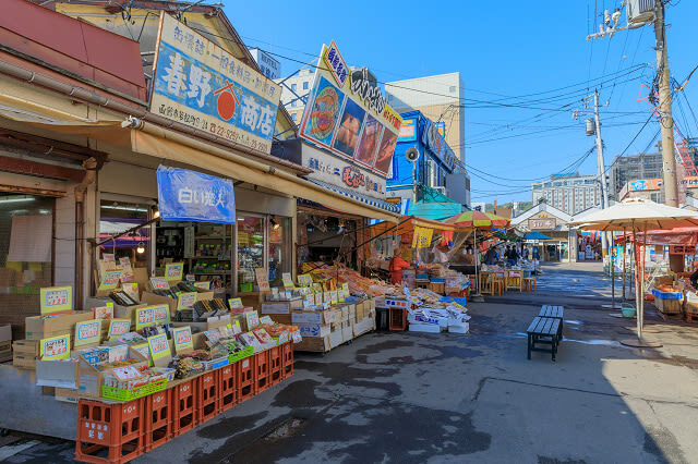 Limited Cherry Blossom Season: Hokkaido, Japan Private Day Tour: Departure/Return in Hakodate | Customizable Itinerary - The driver gets you there, but does not guide you