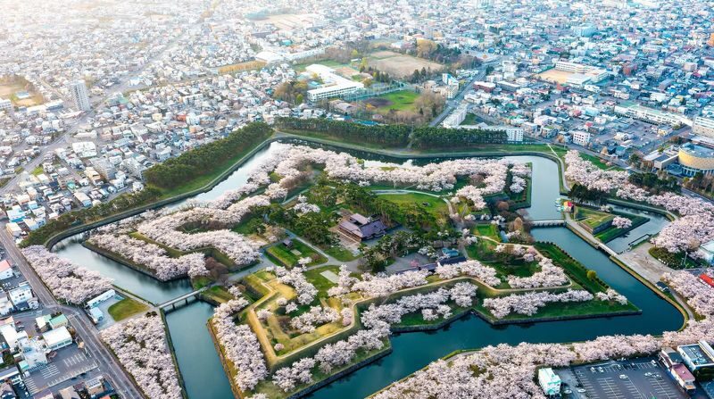 Limited Cherry Blossom Season: Hokkaido, Japan Private Day Tour: Departure/Return in Hakodate | Customizable Itinerary - Pick a vehicle for people and bags, not just seats