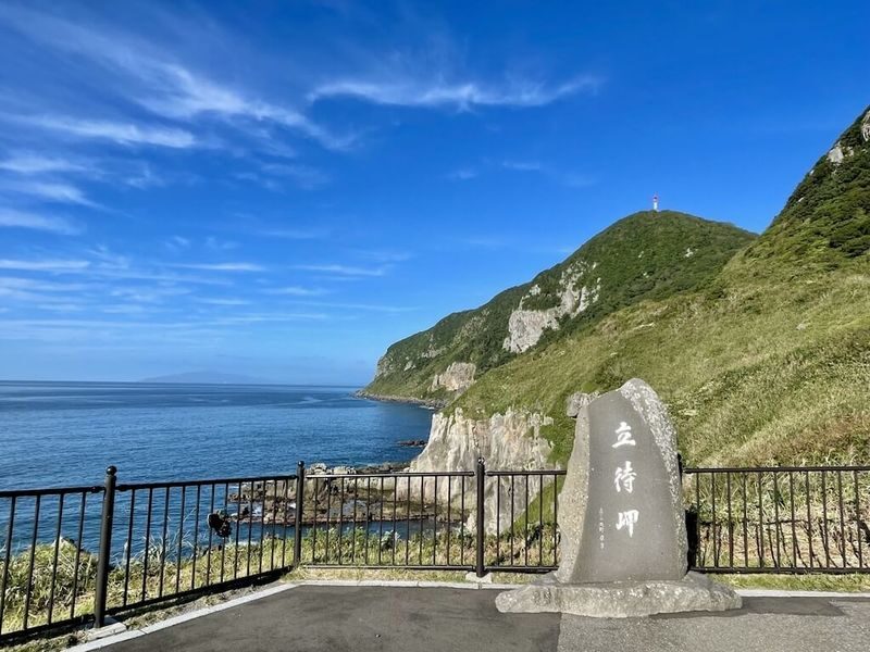 Limited Cherry Blossom Season: Hokkaido, Japan Private Day Tour: Departure/Return in Hakodate | Customizable Itinerary - The fare is only part of the total