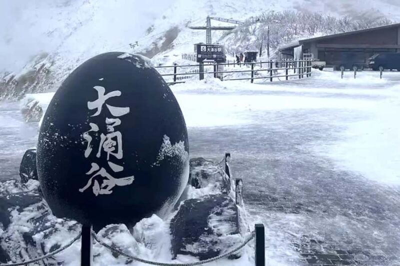 Limited: Mt. Fuji&Hakone, FREE Pirate Ship&Owakudani Ropeway - FAQ