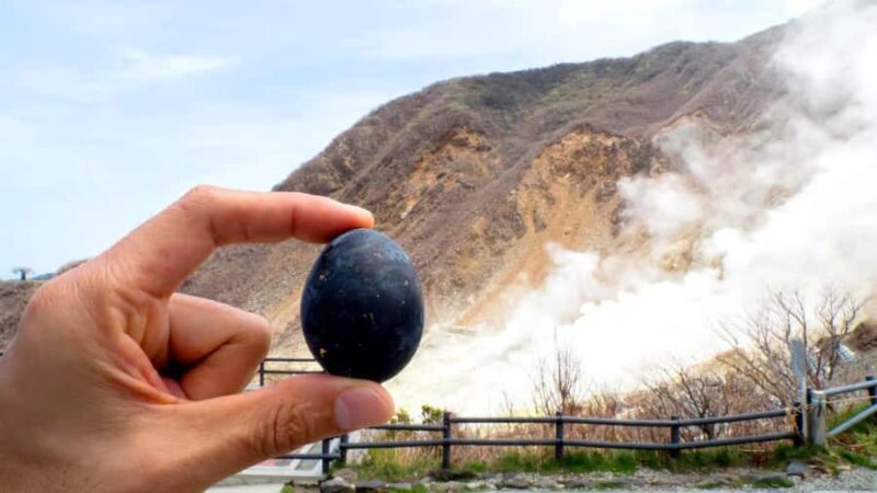 Limited: Mt. Fuji&Hakone, FREE Pirate Ship&Owakudani Ropeway - FAQ