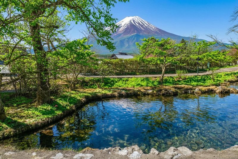 Limited-time Special: Mount Fuji Internet-famous Scenic Spot Day Tour | Departing from Tokyo - What the price covers, and what it doesn’t