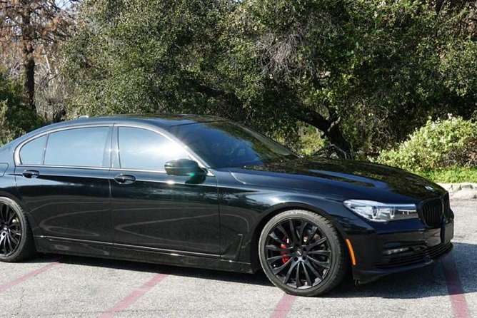 Limo Hire Melbourne Airport To CBD - Contact Information and Support