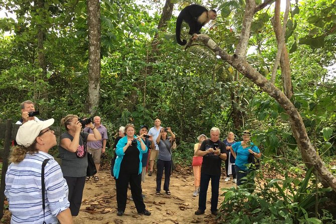 Limon Highlights 6 in 1 Private Tour. Shore Excursion From Limon - Tour Itinerary Overview
