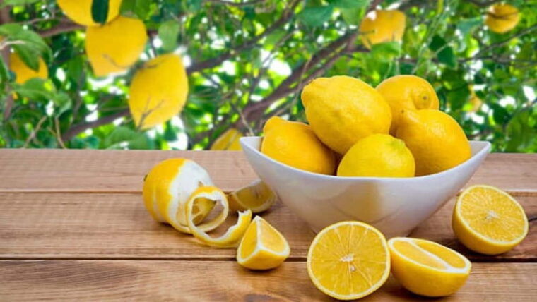 Limoncello Making Class in a Roman Artisan Distillery - Who Will Enjoy This Tour?