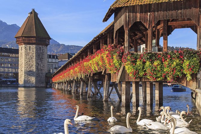 Limousine Service - Shopping Assistance & Tour Guide in Zurich & Surroundings - Discovering the Surroundings With a Limousine