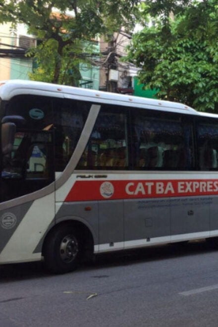 Limousine Transfer From Hanoi to Ninh Binh - Booking Process and Options