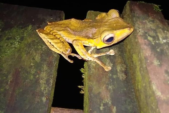 Limpaki Wetland Nature Night Walk - Meeting Point