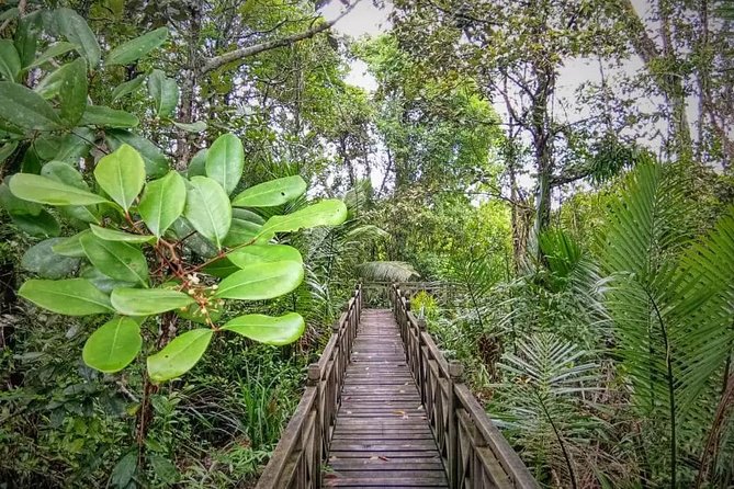 Limpaki Wetland Nature Night Walk - Cancellation Policy
