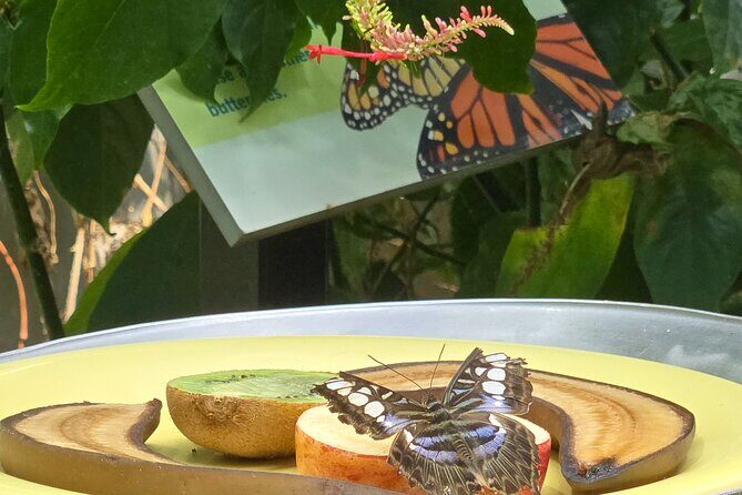 Lincoln Park Nature Museum & Zoo Private Walking Tour - What to Expect in Terms of Logistics and Value