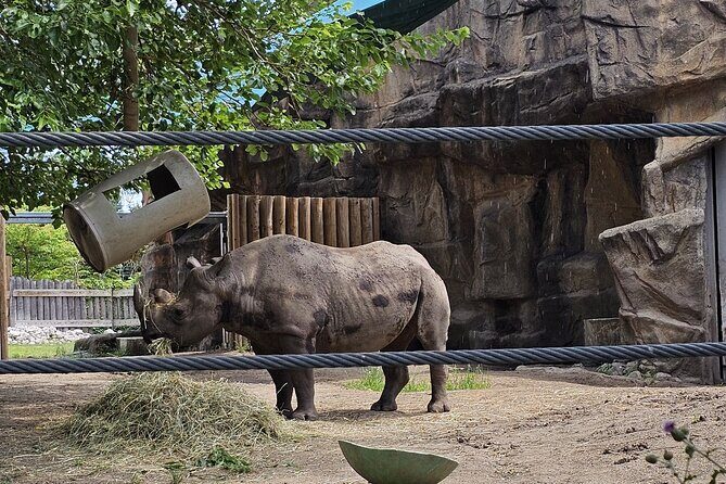 Lincoln Park Nature Museum & Zoo Private Walking Tour - Who Is This Tour Best For?