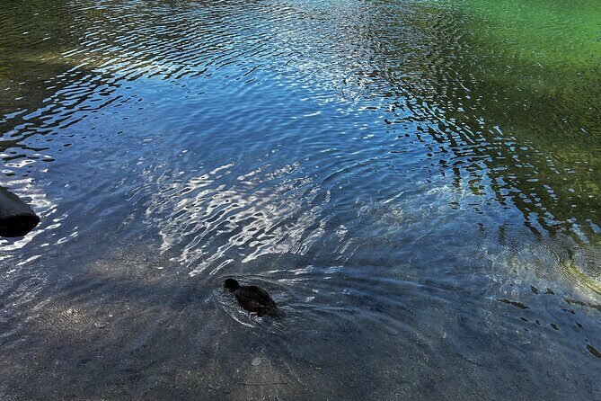 Lindeman and Chilliwack Lakes Sightseeing Tour - An In-Depth Look at the Tour Itinerary