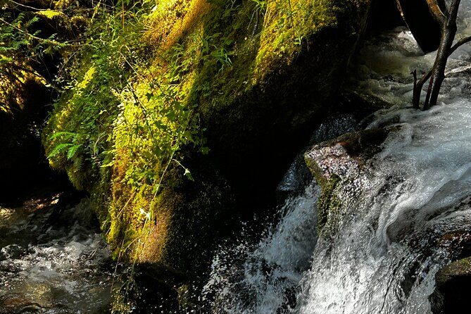 Lindeman and Chilliwack Lakes Sightseeing Tour - Practical Tips for Making the Most of Your Day