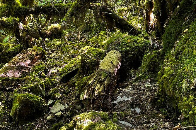 Lindeman and Chilliwack Lakes Sightseeing Tour - The Sum Up