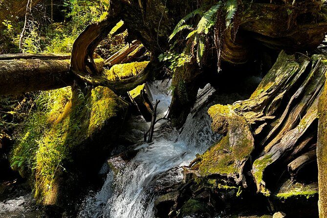 Lindeman and Chilliwack Lakes Sightseeing Tour - Frequently Asked Questions