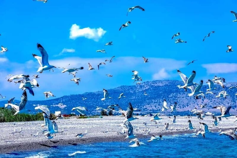 Lindos: 1.5 Hour Glass-Bottom Boat Cruise with Swim Stops - Who Would Love This Tour?