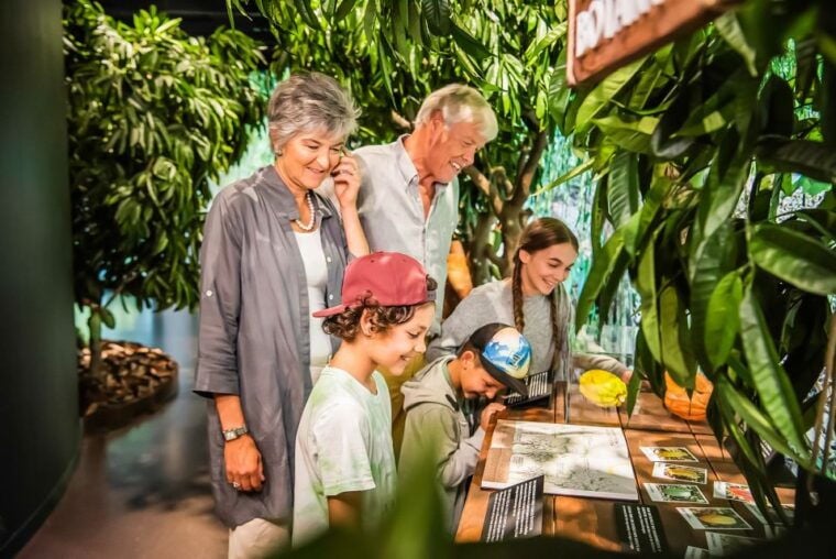 Lindt Home of Chocolate Museum Entry Ticket - Frequently Asked Questions