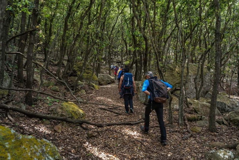 Linea isola di Zannone - What Do Travelers Say?