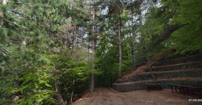 Linguaglossa: North Etna Guided Forest Walking Tour - Itinerary