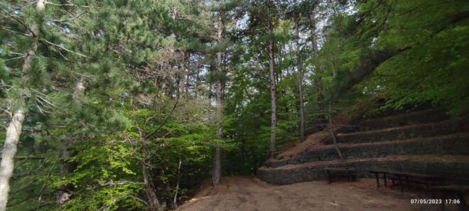 Linguaglossa: North Etna Guided Forest Walking Tour - Experience