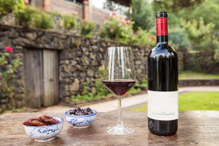 Linguaglossa: Wine Tasting Experience at Etna Nord - Booking Details