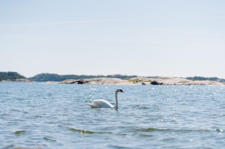 Linlo : Exclusive Day Tour on an Island - Booking Process