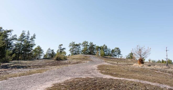 Linlo : Exclusive Day Tour on an Island - Highlights of the Tour