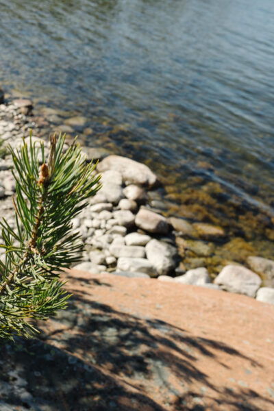 Linlo : Exclusive Day Tour on an Island - Customer Reviews and Experiences