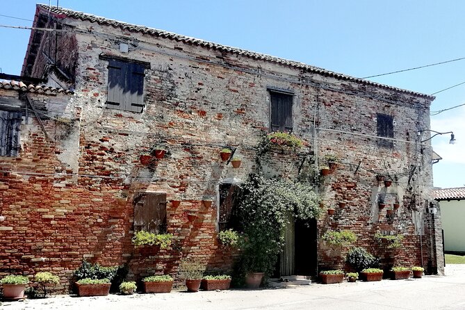 Lio Piccolo: Flamingos & Birdwatching Bike Tour in the Venetian Lagoon - Traveler Reviews