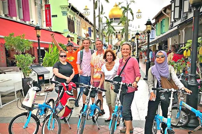 Lion City Bike Tour of Singapore - Traveler Tips and Reviews