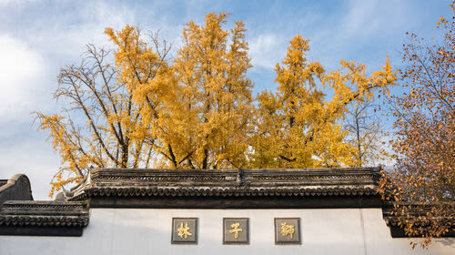 Lion Forest Garden Admission Ticket in Suzhou - A rock maze built around lion-shaped peaks
