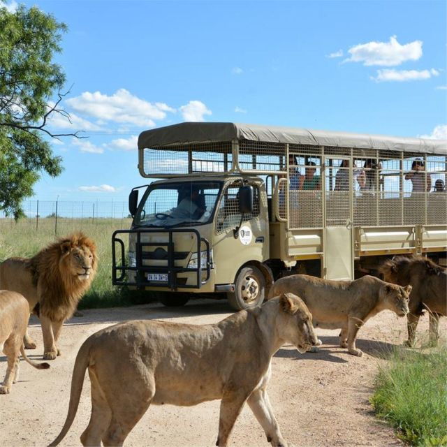 Lion Park Tour in Open Safari Vehicle - Good To Know