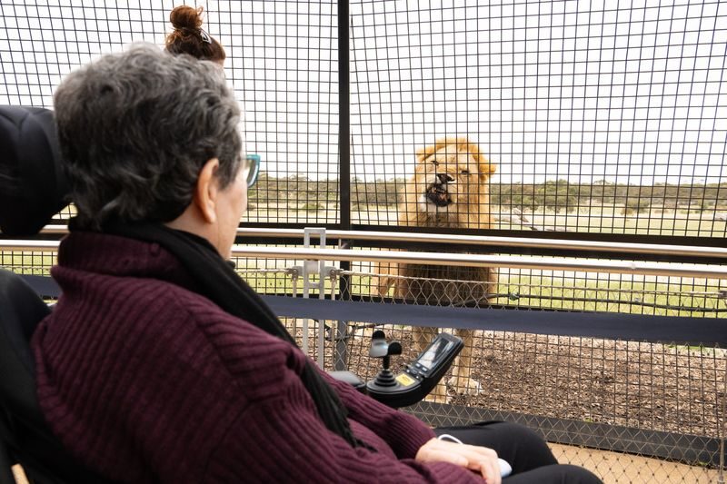 Lions 360 Experience & A Day at Monarto Safari Park - How much time to set aside
