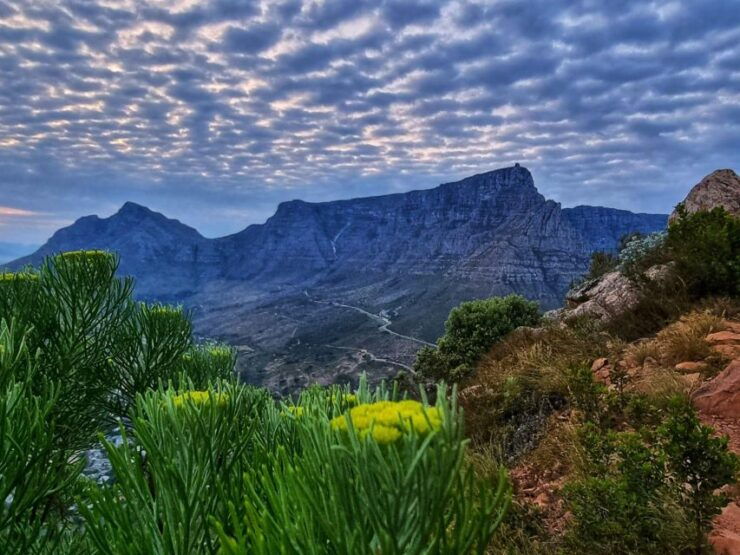 Lions Head Hike & Picnic - Good To Know