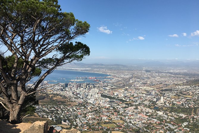 Lions Head Hike - Private Tour - Meeting Point Details