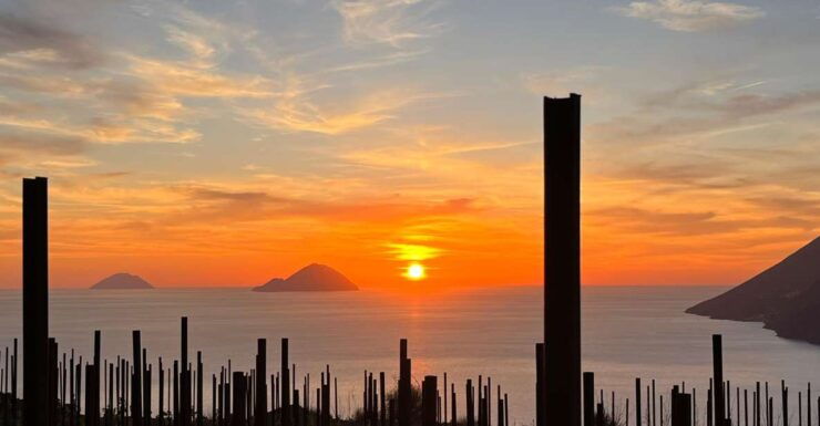 Lipari: Picnic in the Vineyard - Good To Know