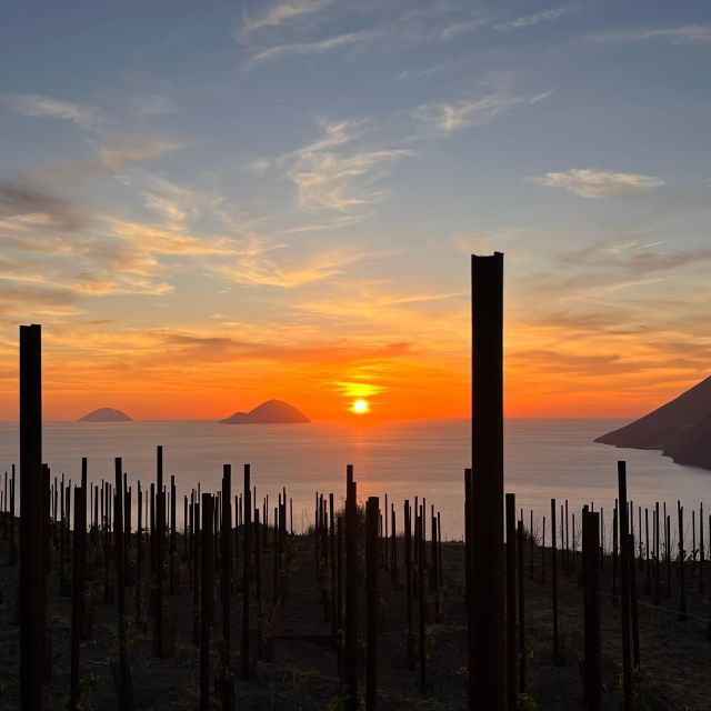 Lipari: Picnic in the Vineyard - Highlights and Description