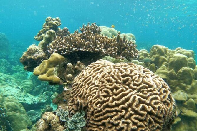 Lipe 8 Island Hopping and Snorkeling Shared Experience - The Sum Up