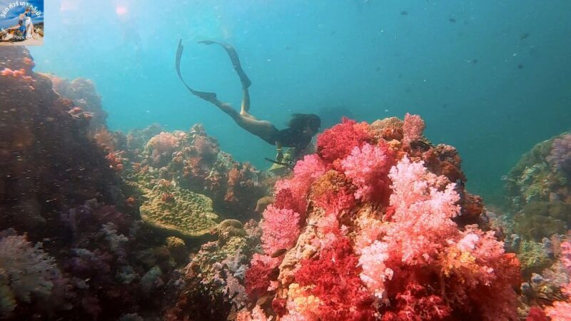 Lipe: Longtail Boat Snorkeling to Outer Islands Program B - The Sum Up: Is This Tour Worth It?