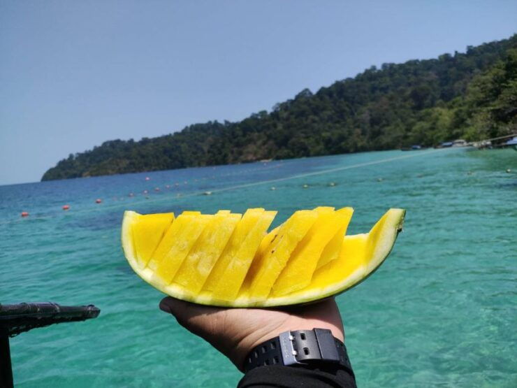 Lipe Private Snorkelinge Outside Zone By Long Tail Boat - Activity Details