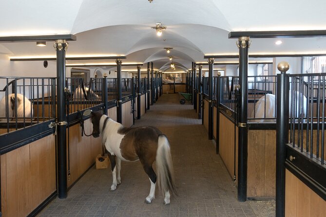 Lipica Stud Farm and Skocjan Caves From Koper - The Sum Up