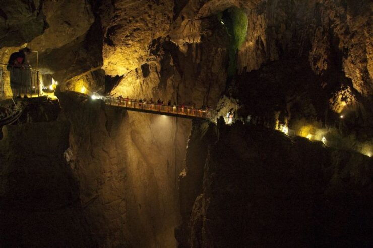 Lipica Stud Farm & ŠKocjan Caves From Koper - Activity Details