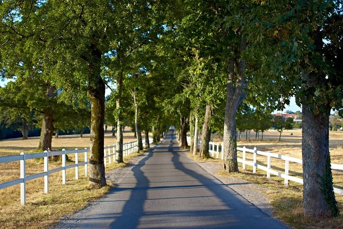Lipica Stud Farm & Skocjan Caves - Shore Excursion From Trieste - Booking and Cancellation Policy