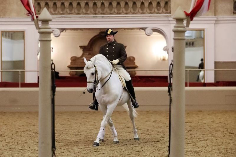 Lipizzaner performance ticket at the Spanish Riding School in Vienna - The Lipizzaners in the Winter Riding School