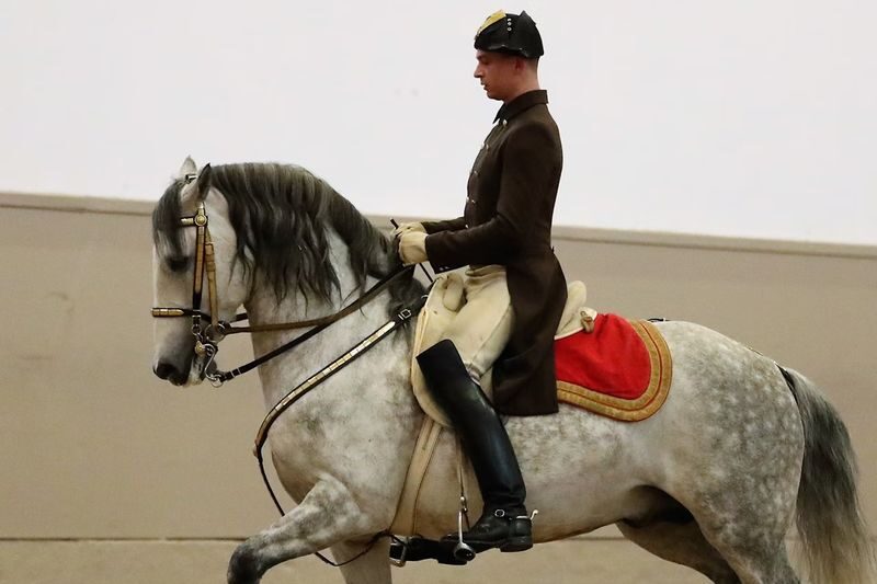Lipizzaner performance ticket at the Spanish Riding School in Vienna - Entering Vienna’s Baroque riding hall