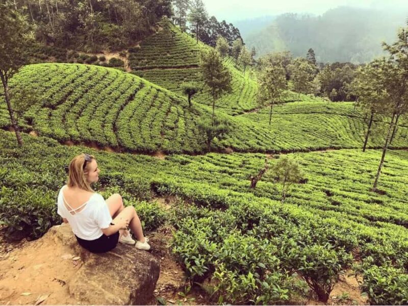 Lipton Seat Legacy: Tuk-Tuk & Train Tea Trails Tour - Practical Tips for Travelers